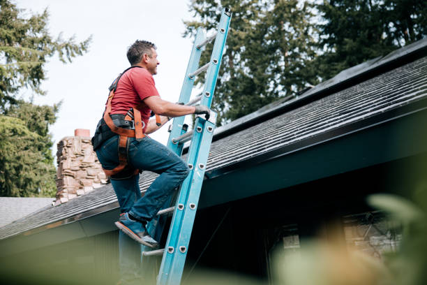 Roof Insulation in Williams, AZ