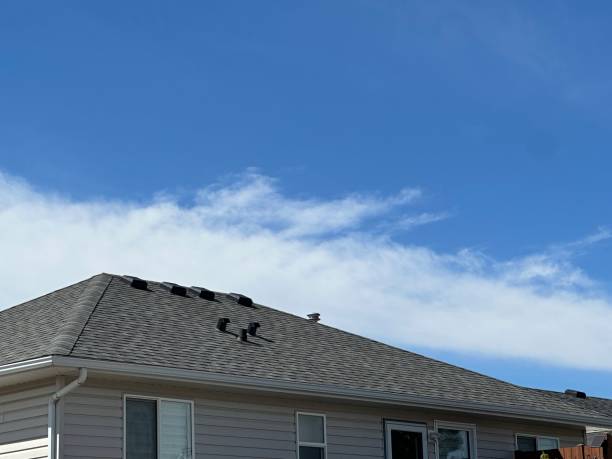 Best Roofing for New Construction  in Williams, AZ